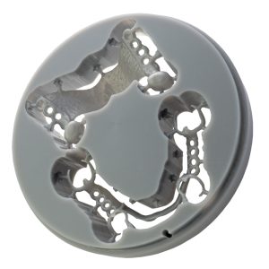 SilaPart Biostar